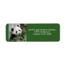 Zoek naar leuke panda posters Natuur