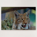 Recherche de lynx puzzles Animal