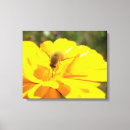 Recherche de toile jaune de fleur Coloré