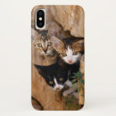 Recherche de chat curieux iphone coques Mignon