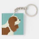 Recherche de cavalier king charles porteclés Chien