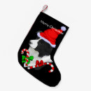 Recherche de border collie chaussette de noël Vacances