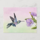 Zoek naar hummingbird briefkaarten Bloem