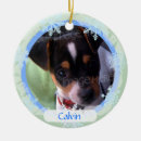 Zoek naar lijst ornamenten Blauw