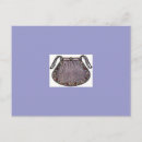 Recherche de années 1900 cartes postales Femmes