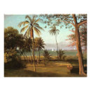 Recherche de floride art Tropical