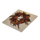 Recherche de thanksgiving carreaux Vacances