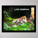 Recherche de tigre drôle posters Humour