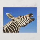 Recherche de namibie cartes postales Horizontal