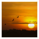 Zoek naar romantische foto posters Zonsondergang