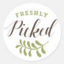 Recherche de légume vert autocollants Nourriture