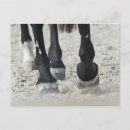 Recherche de parties du corps cartes postales Horizontal