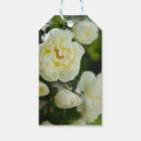 Recherche de valise posters Anniversaire