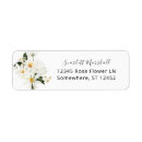 Recherche de white daisy Moderne