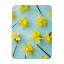 Recherche de narcisse magnets Fleur