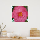 Zoek naar roze boom posters Bloem