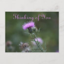 Recherche de pensées cartes postales Photographie