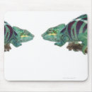 Recherche de panoramique tapis souris Animal