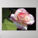 Recherche de hybride posters Floral