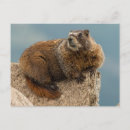 Recherche de evans posters Mt