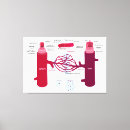 Recherche de sanguin art Diagramme