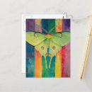 Recherche de beau papillon cartes postales Unique