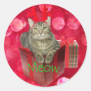 Recherche de chat joyeux autocollants Vacances heureuses