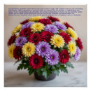 Recherche de chrysanthème posters Fleur