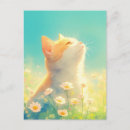Recherche de marguerite turquoise cartes postales Pour tous