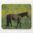 Recherche de chevaux sauvages tapis souris Équestre
