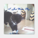 Recherche de minou noir magnets Pelucheux