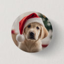 Recherche de labrador badges Drôle