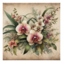 Recherche de vintage orchidee posters Orchidée