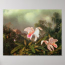 Recherche de heade martin johnson posters Botanique
