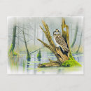 Recherche de souches cartes postales Sauvage