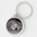 Recherche de pyrénées porteclés Chiens