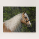 Recherche de chevaux palomino puzzles Race