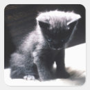 Recherche de curiosité autocollants Gris