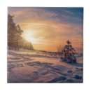Recherche de coucher soleil carreaux Forêt