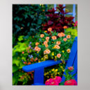 Recherche de pétunia art Jardin