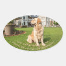 Recherche de golden retriever dog autocollants Animal