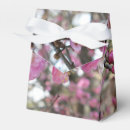 Recherche de cerisier japonais ballotins Hanami