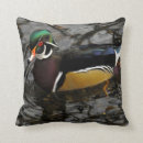 Zoek naar male kussens Dier