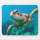Recherche de tortue verte tapis souris Nautique