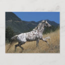 Recherche de tête de cheval cartes postales Équestre