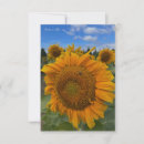 Recherche de de tournesol correspondances cartes Jardin