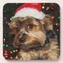 Recherche de yorkshire dessous de verres Yorkie