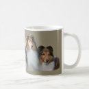 Recherche de chien de colley tasses Colleys