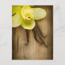 Recherche de cosse cartes postales Fleur