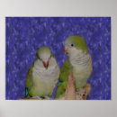 Recherche de peinture perroquet art Mignon